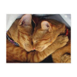 Sweet Dreams Post Card