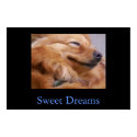 Sweet Dreams posters by sherkan Sweet Dreams posters