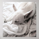 Sweet Dreams ~ Poster / Print