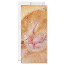 Sweet Dreams Rack Card