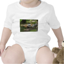 Sweet dreams t-shirts