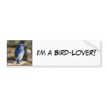 Sweet Eastern Bluebird Bumper Stickers
