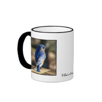 Sweet Eastern Bluebird Coffee Mug