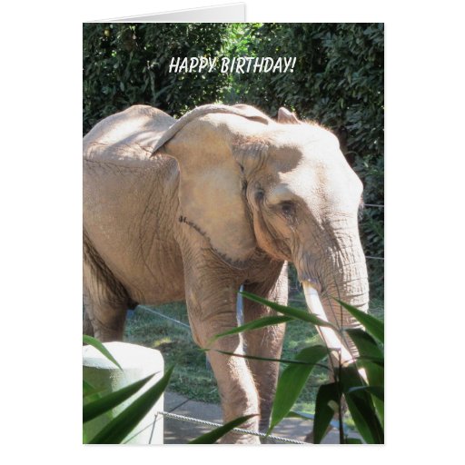 Sweet Elephant Birthday Wishes Greeting Card | Zazzle