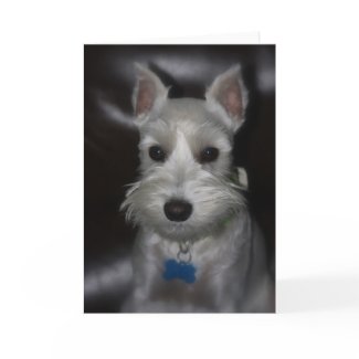 Sweet Face Card card