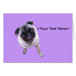 Sweet Faced Pug Greeting Cards