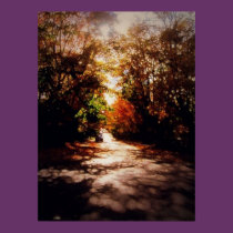 Sweet Fall posters