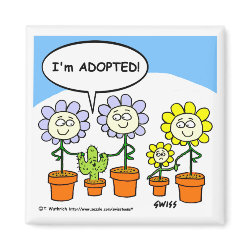 Sweet Funny Collectible Adopted Cactus Cartoon magnet