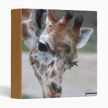 Sweet Giraffe Binder