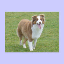 Sweet Girl Postcard by shawke123 Sweet Girl Postcard