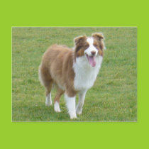 Sweet Girl Postcard