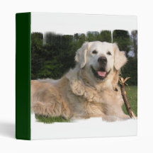 Sweet Golden Retriever Binder