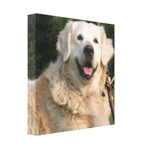 sweet golden retriever sweet golden retriever canvas print zazzle sweet golden retriever sweet golden retriever canvas print zazzle