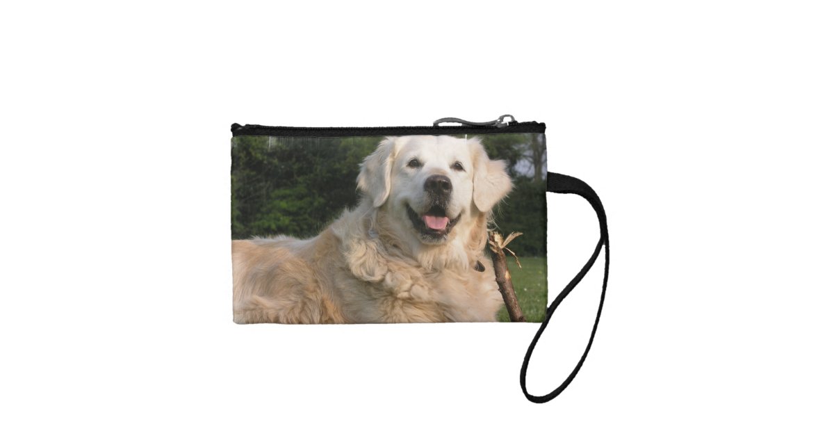 golden retriever purse sweet golden retriever coin purse zazzle golden retriever purse sweet golden retriever coin purse zazzle