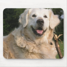 Sweet Golden Retriever Mouse Pad