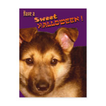 Sweet Halloween Postcard by elenaind Sweet Halloween Postcard