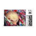 sweet hedgehog stamp