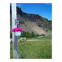 Sweet Home Of Newfoundland posters