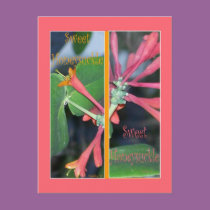 SWEET HONEYSUCKLE BOOKMARKS postcards
