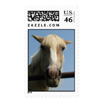 Sweet horse postage