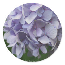 Sweet Hydrangea Flower Photo Sticker Label by SmilinEyesTreasures Sweet Hydrangea Flower Photo Sticker Label