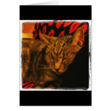 Sweet Indigo Snuggles Card