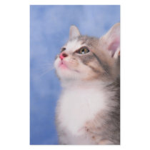 Sweet Innocence stationery