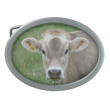 Sweet Jersey Cow Belt Buckle