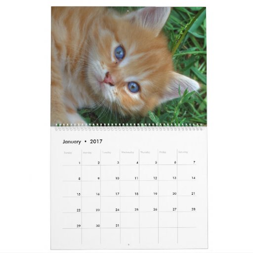 Sweet Kittens Calendar | Zazzle