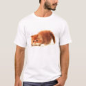 Sweet kitty t-shirts