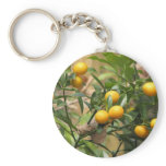 Sweet Kumquats Key Chain