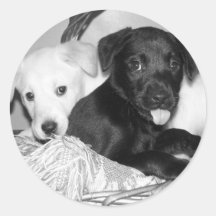 sweet labs sticker