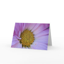 sweet lavendar cards by cherylc1 sweet lavendar cards