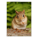 Sweet Little Baby Chipmunk Card cards