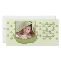 Sweet Little Pea Baby Boy Birth Annoucement Personalized Photo Card