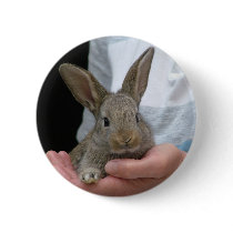 sweet little rabbit pinback button