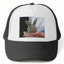 sweet little rabbit mesh hat