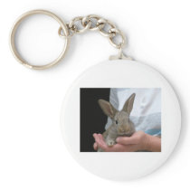 sweet little rabbit keychain