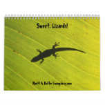 Sweet lizards calendar
