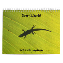 Sweet lizards calendar calendars
