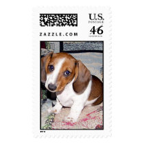 sweet look postage