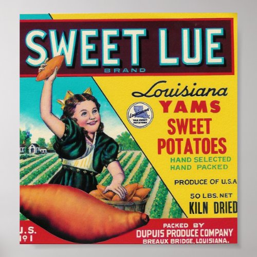 yams vs sweet potatoes pictures. sweet lue yams poster print