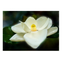 Sweet Magnolia ACEO Art Trading Cards business cards by jaisjewels Sweet Magnolia ACEO Art Trading Cards business cards