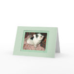 Sweet Mochi the Pig Greeting Card cards