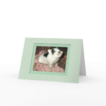 Sweet Mochi the Pig Greeting Card