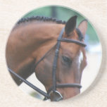 Sweet Morgan Horse Beverage Coasters