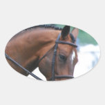 Sweet Morgan Horse Oval Stickers