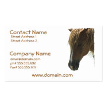 Sweet Mustang Horse Business Card