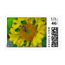 Sweet Nectar stamps