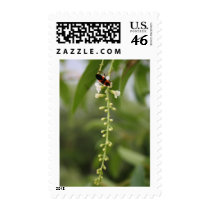 Sweet New Blossoms postage